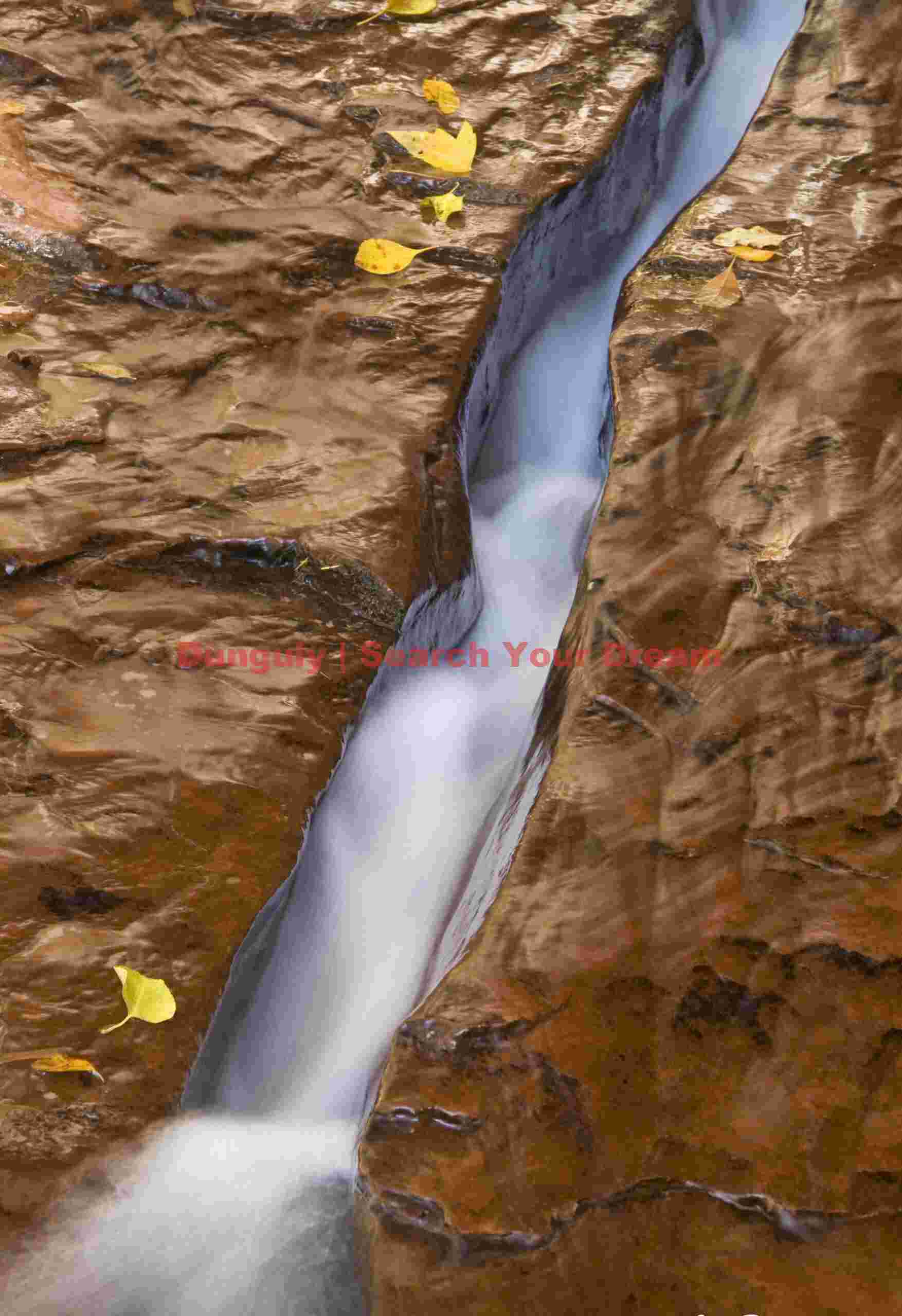 Golden Hour Waterchute - Liquid Sunlight