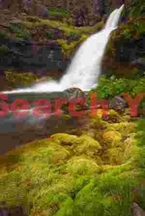 Green moss and waterfall; Western Fjords