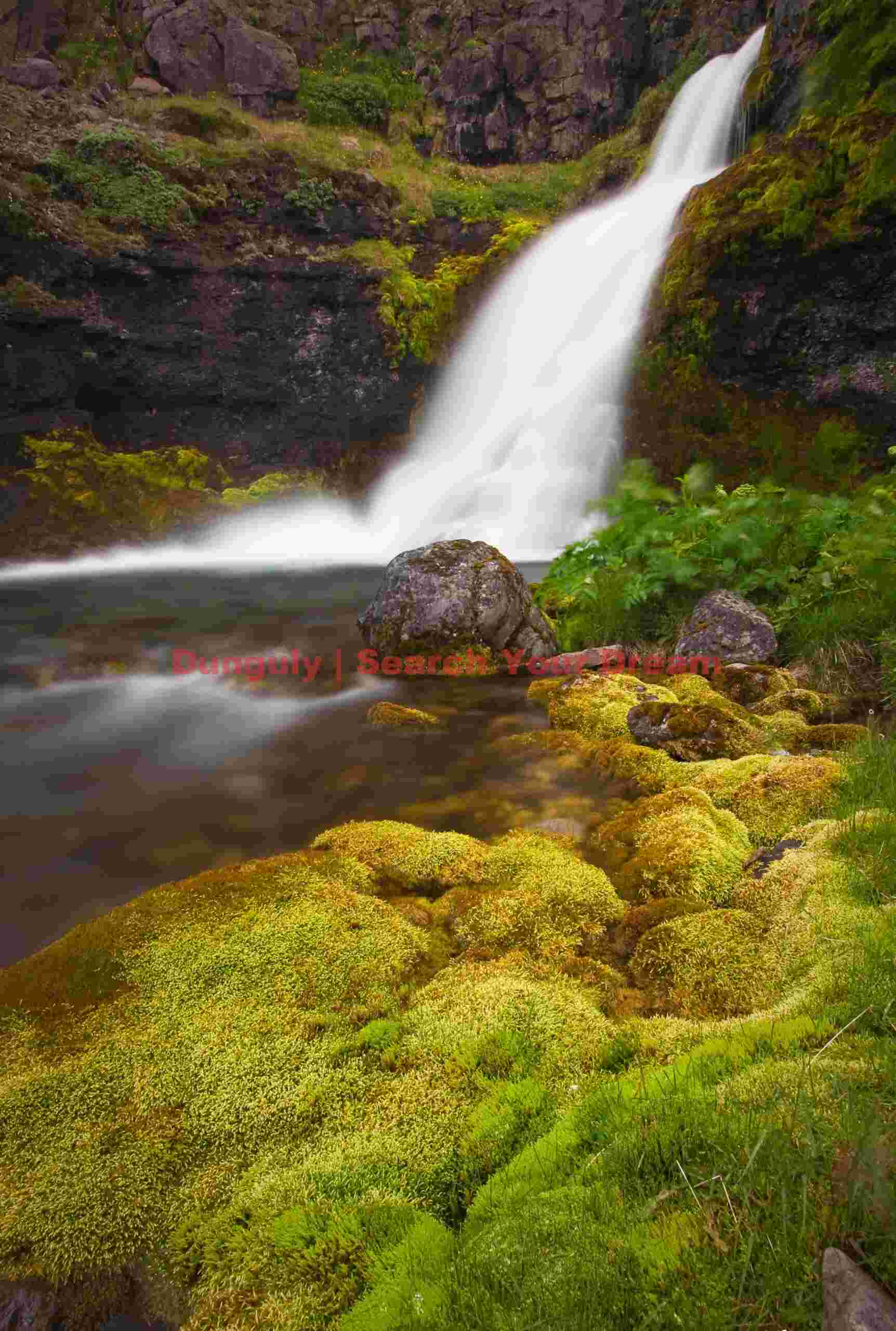 Green moss and waterfall; Western Fjords