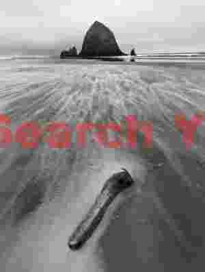 Wind-Sculpted Sand Study