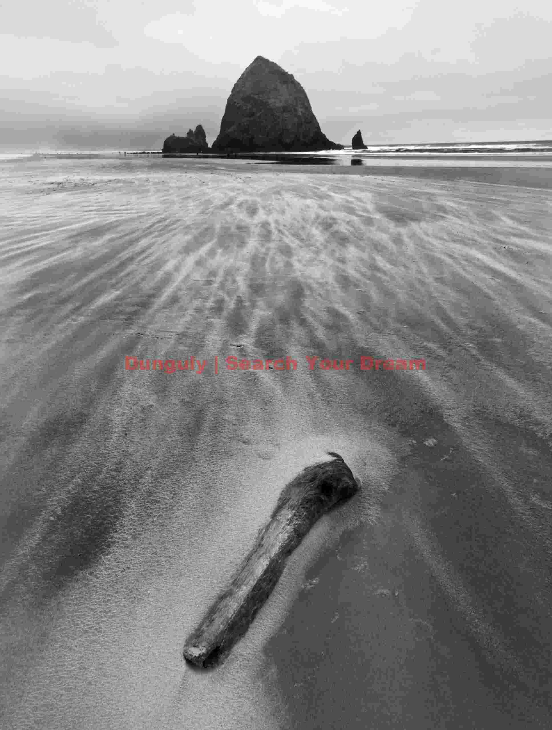 Wind-Sculpted Sand Study