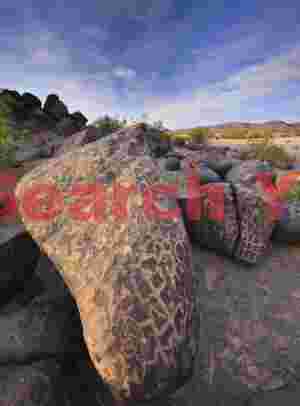 High Density Petroglyphs at Painted Rocks