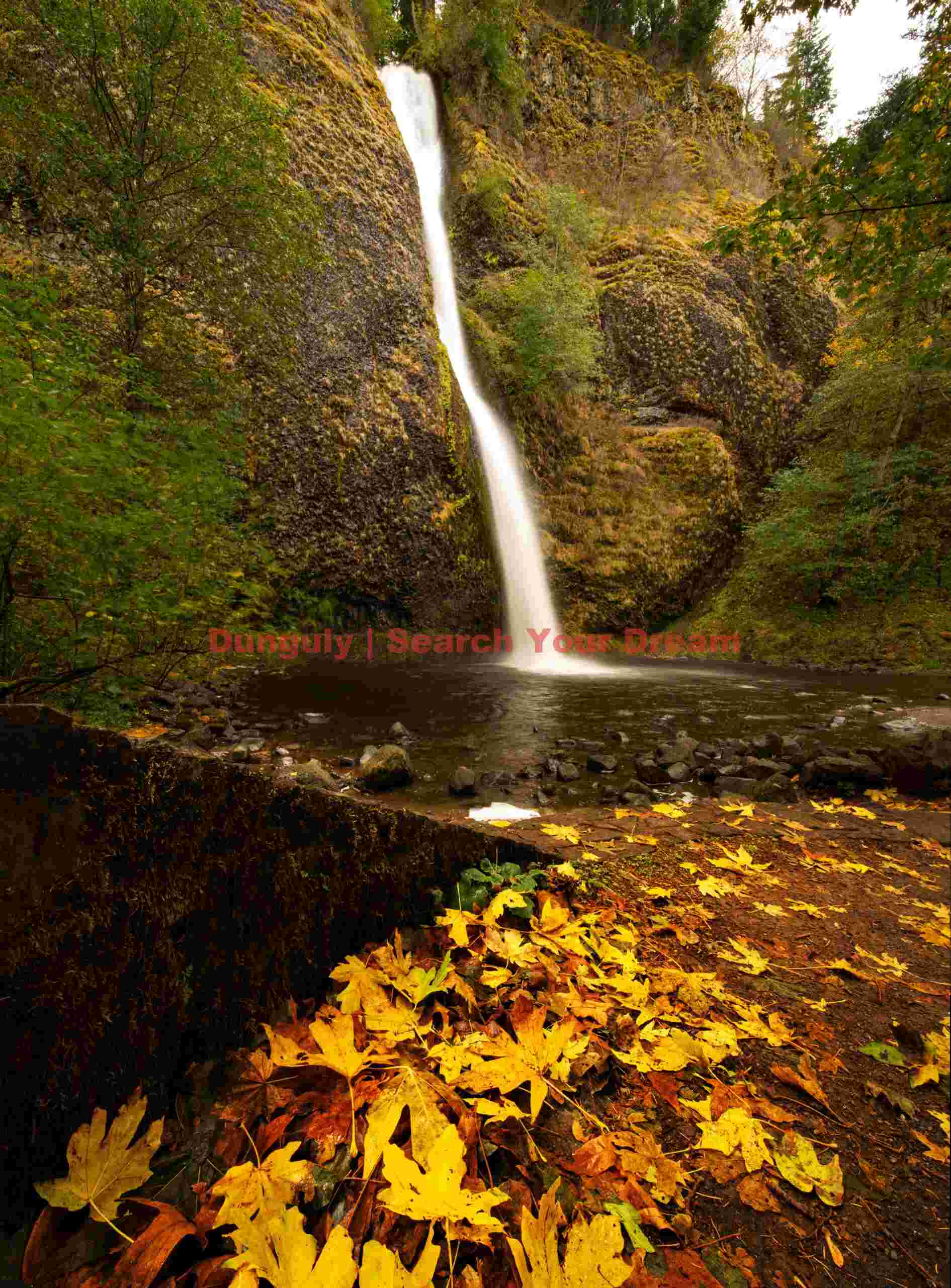 Horsetail Falls, Columbia River Gorge, Oregon