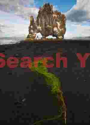 Hvitserkur rock - seaweed swirl