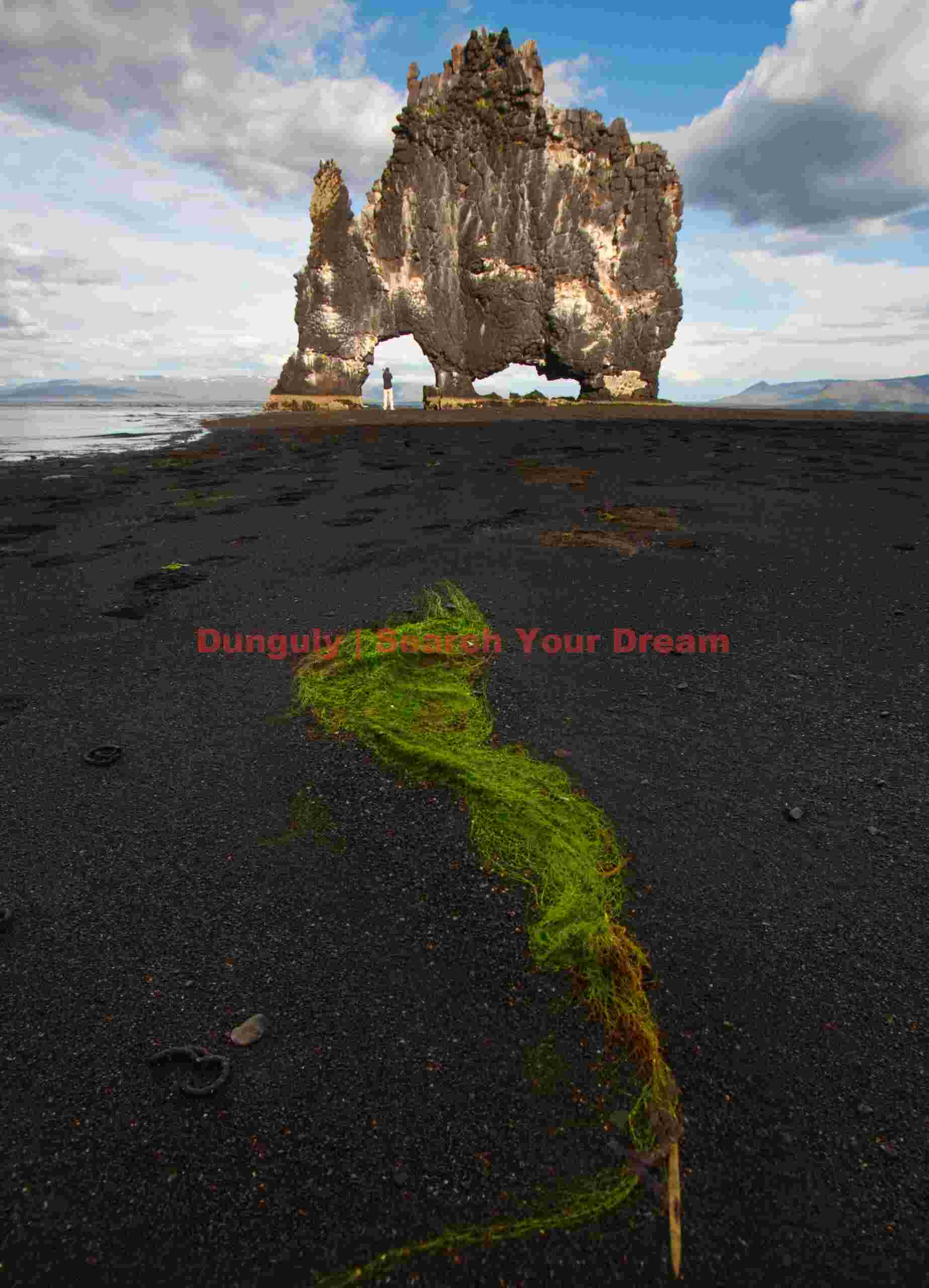 Hvitserkur rock - seaweed swirl