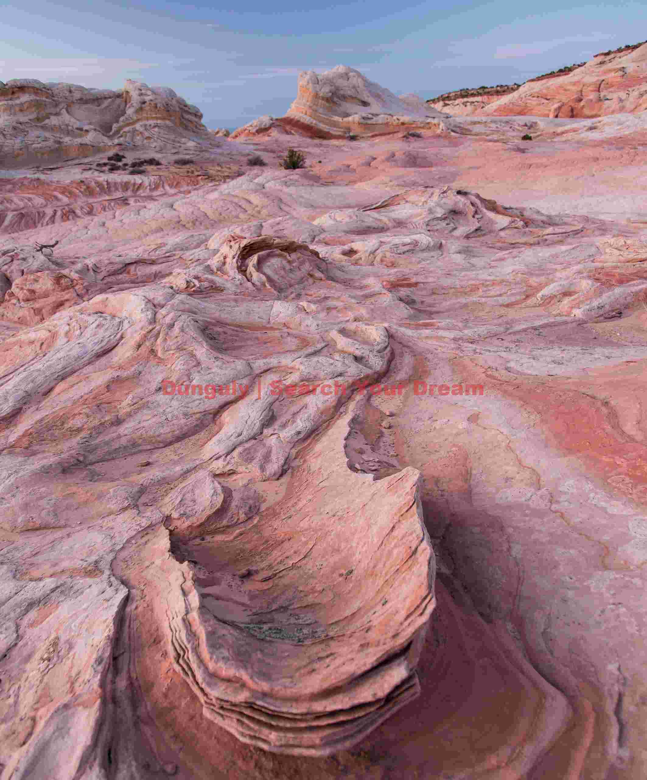 Ice cream scoop - White Pocket - Arizona