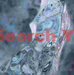 Glacial Ice Formation at Ice shard