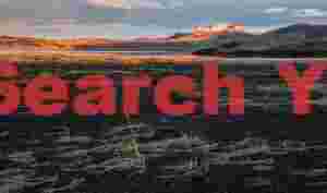 Glacial Ice Formation at Individual grass stalks catching sunrise light