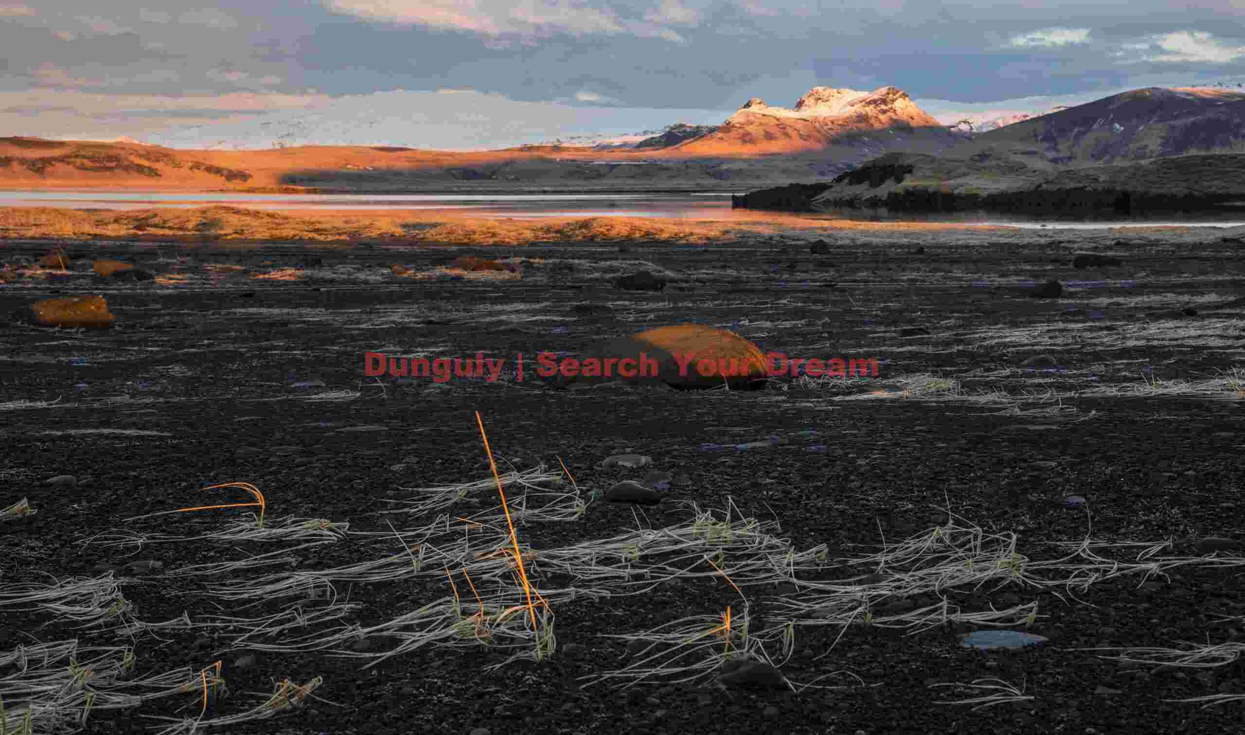 Glacial Ice Formation at Individual grass stalks catching sunrise light
