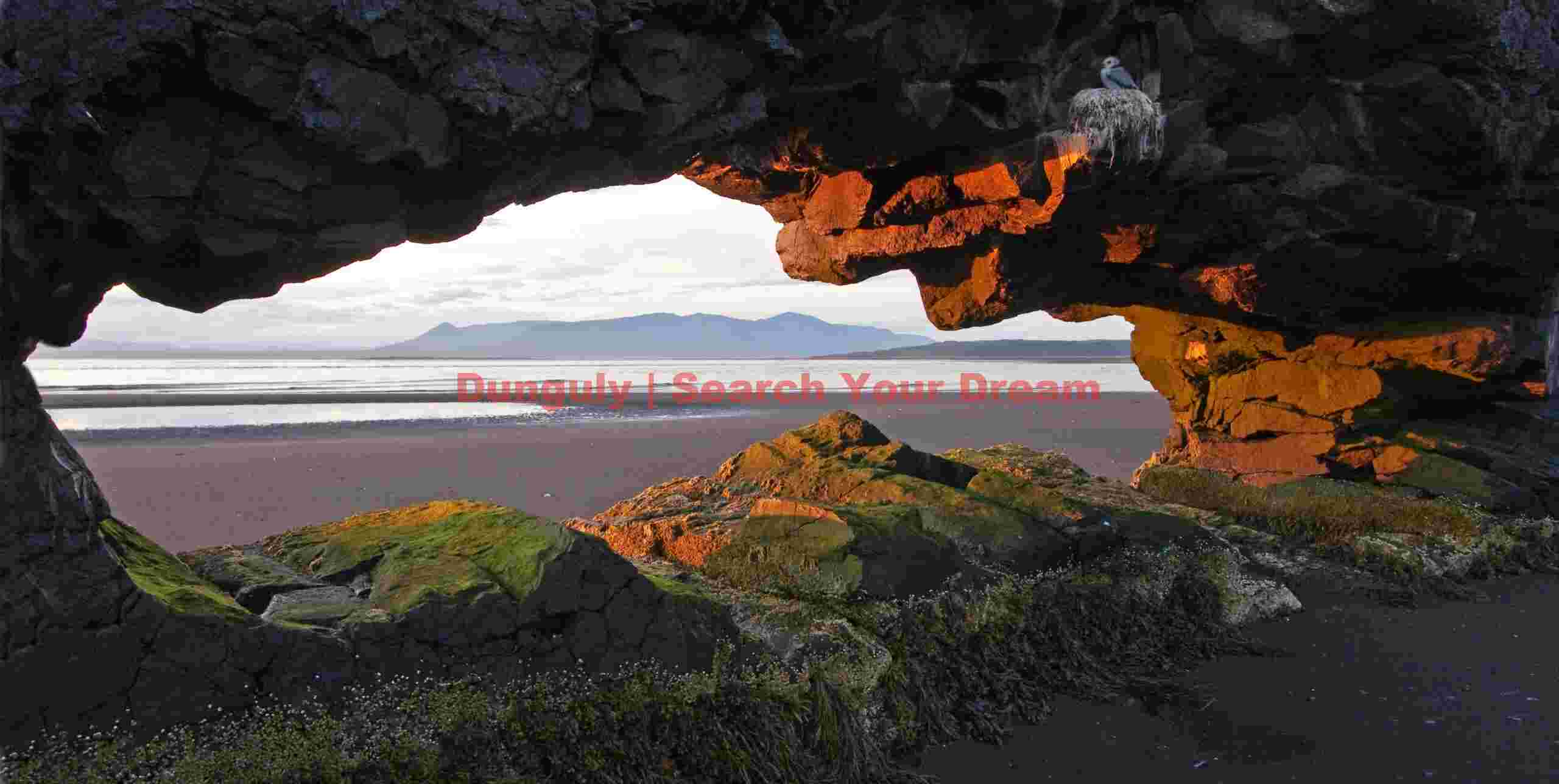 Kittiwake Nest - Hvitserkur