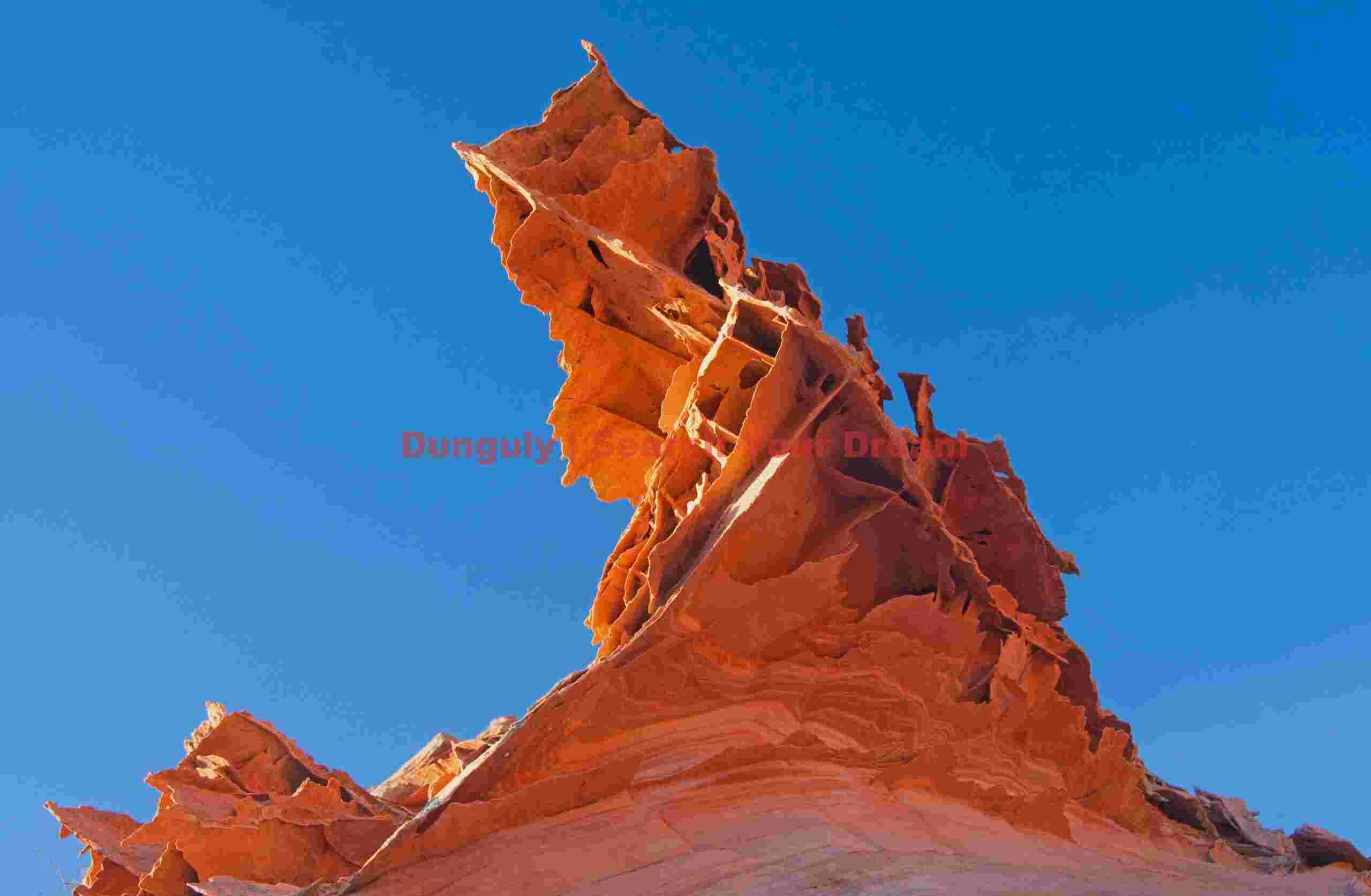 Lace Rock - North Coyote Buttes