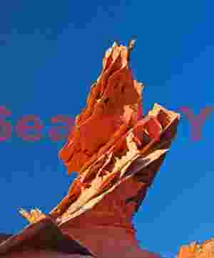 Lace rock vertical - Coyote Buttes