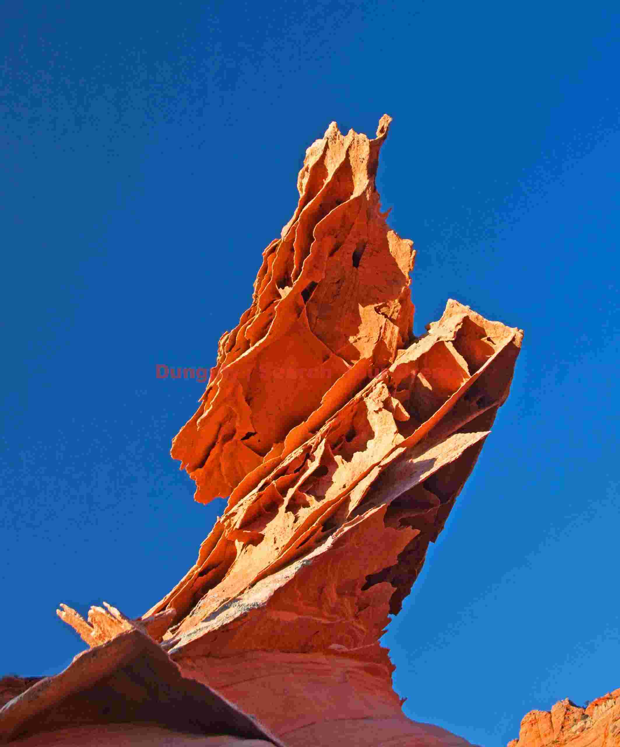 Lace rock vertical - Coyote Buttes