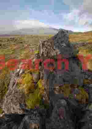 Glacial Ice Formation at Lava boulder and moss below Snæfellsjökull