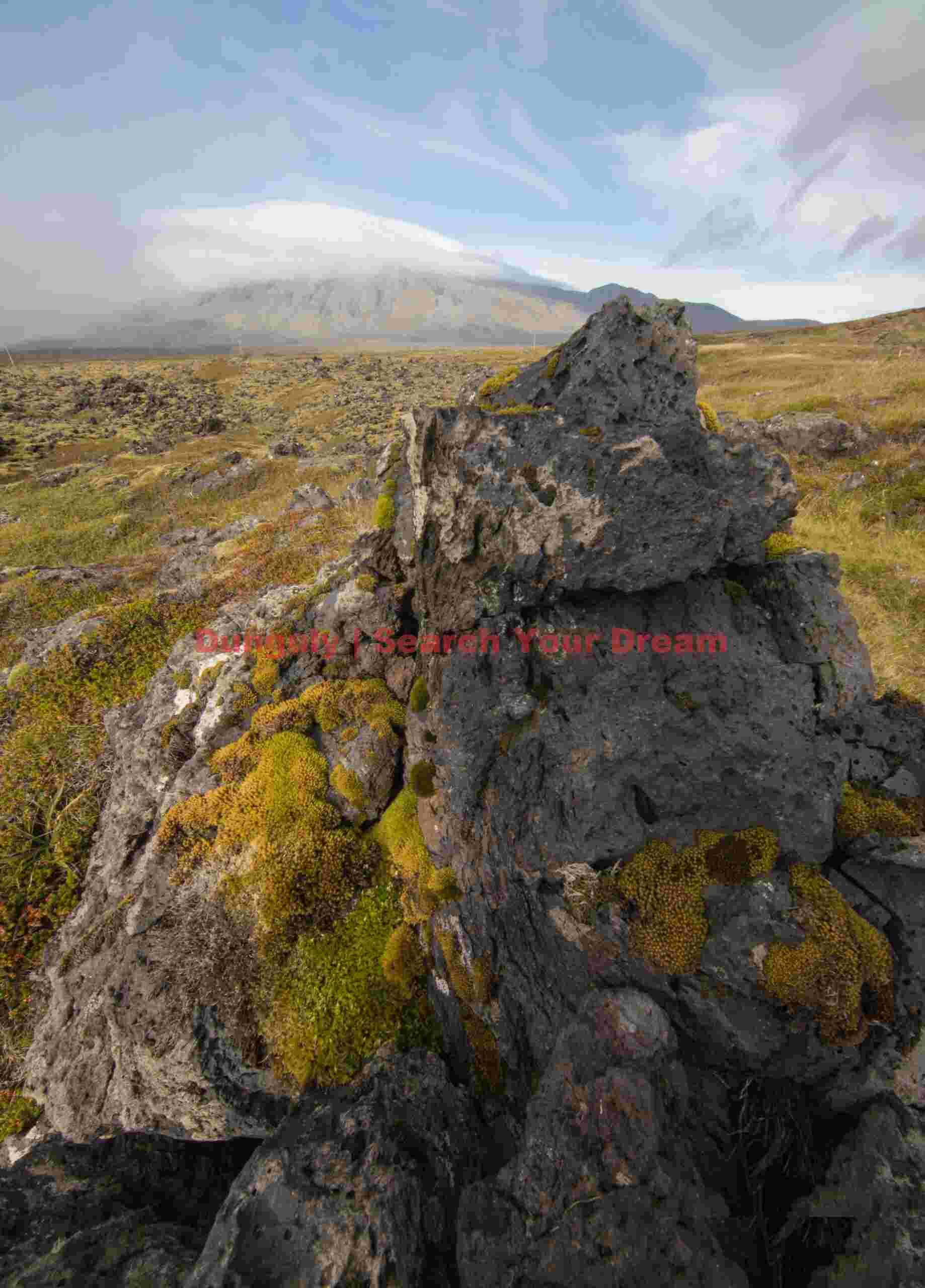 Glacial Ice Formation at Lava boulder and moss below Snæfellsjökull