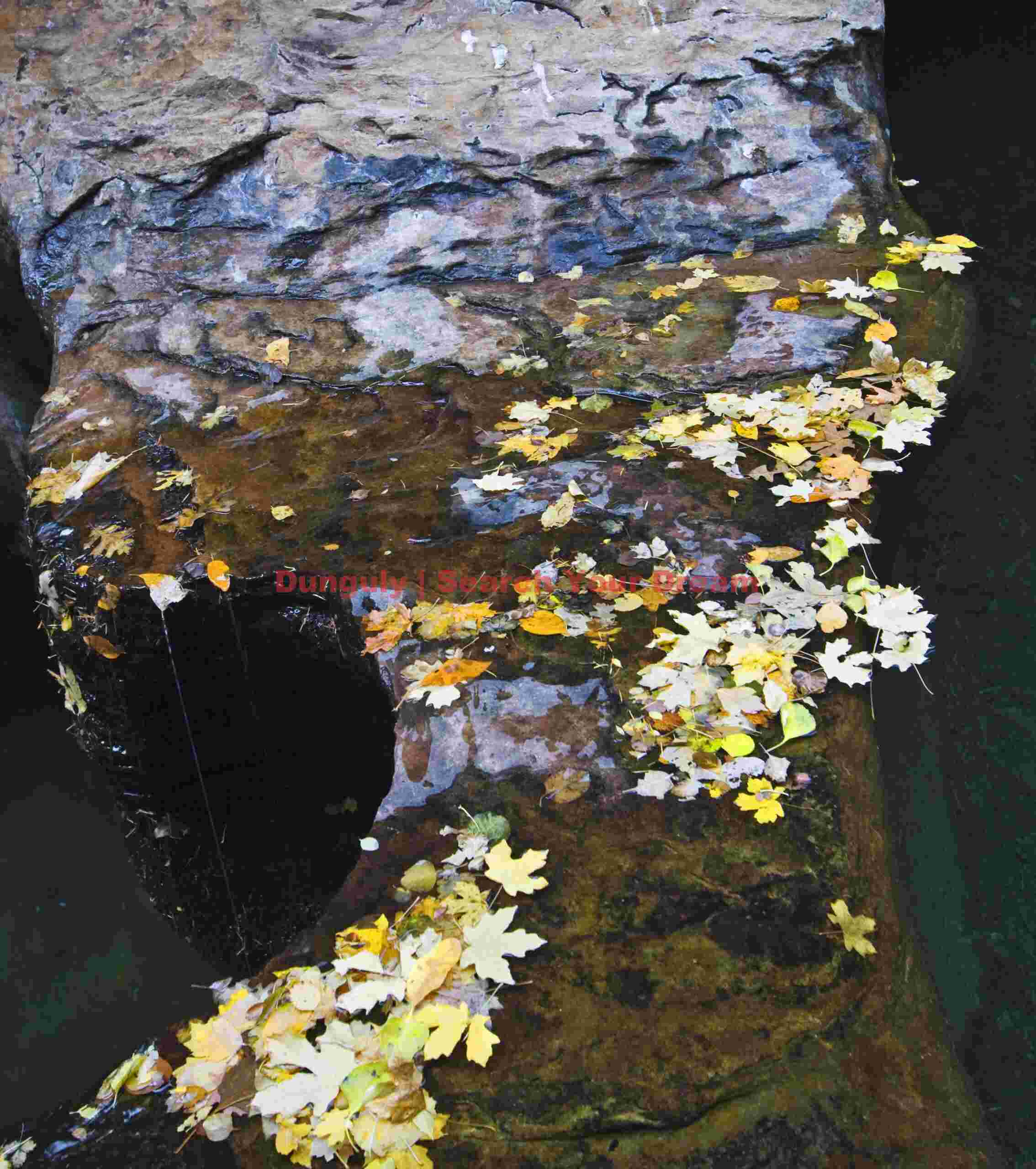 Autumn Bridge - Leaves Between Pools