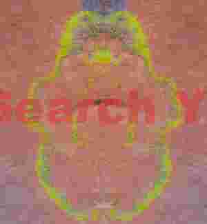 Lime Green Lichen at Parashant National Monument