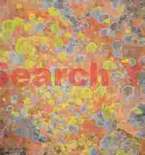 Life on the Red Rocks