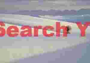 Solitary Yucca Plant in White Sands National Monument Desert