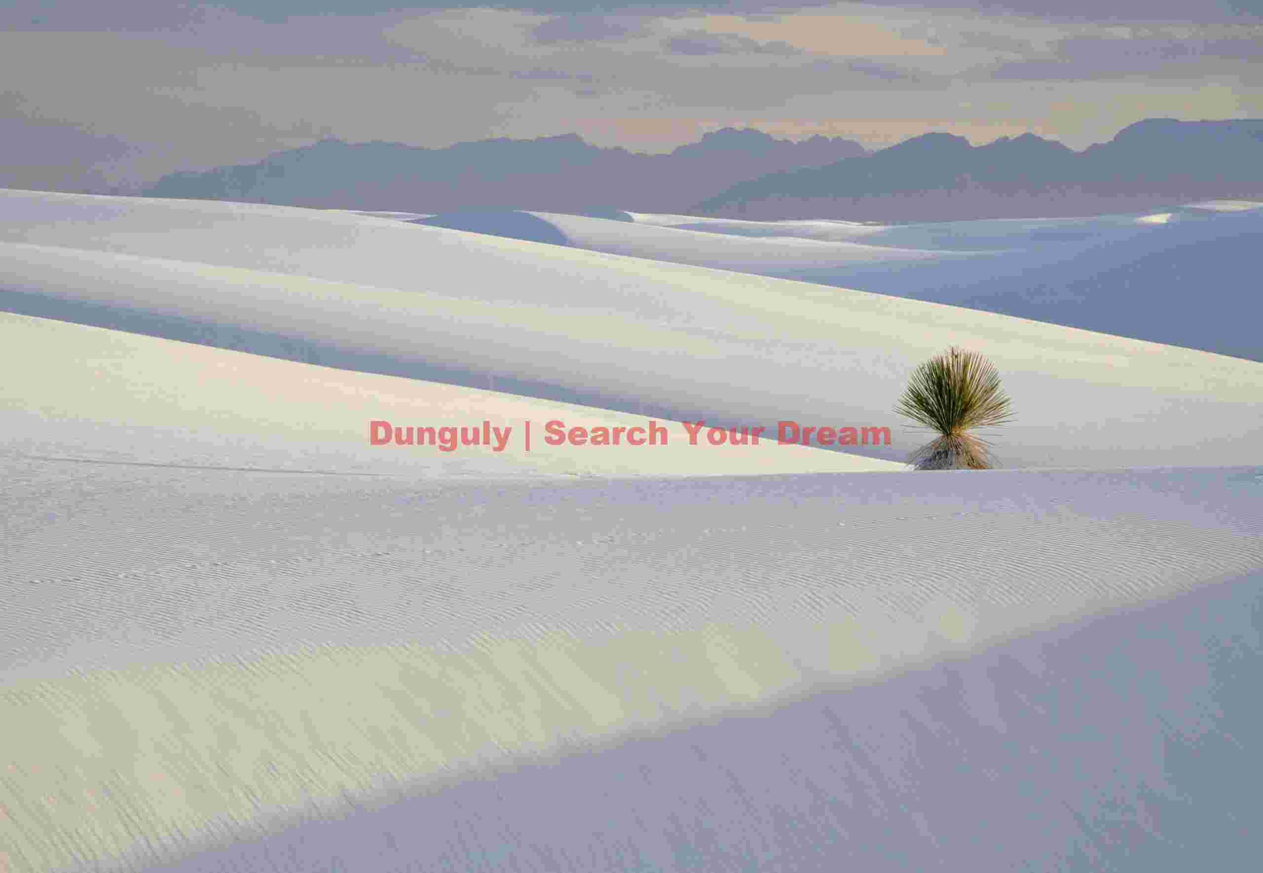 Solitary Yucca Plant in White Sands National Monument Desert