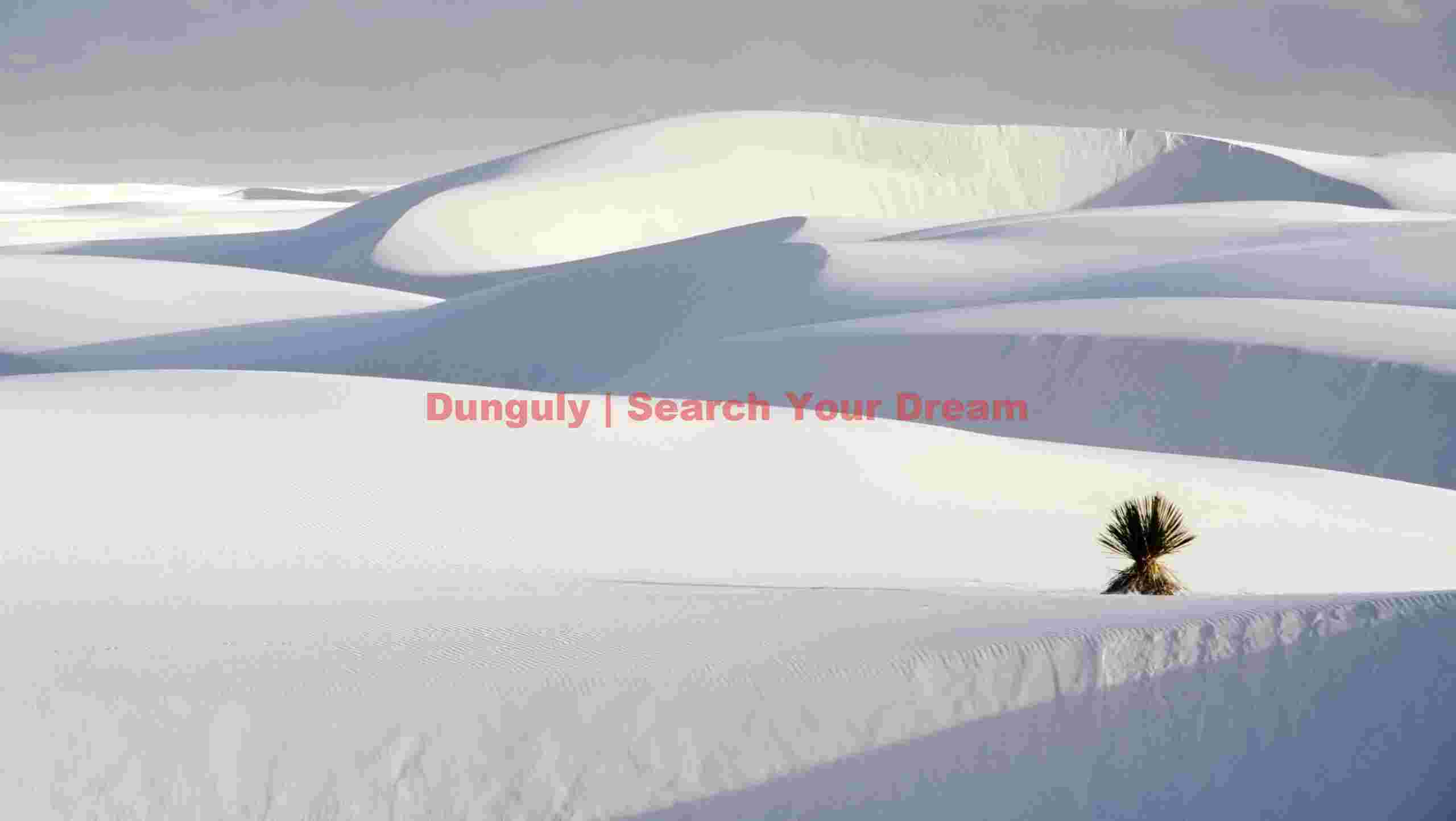 Second Solitary Yucca Study in White Sands Landscape