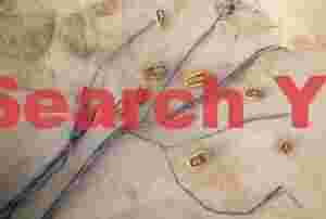 Stone Pearls and Ancient Roots