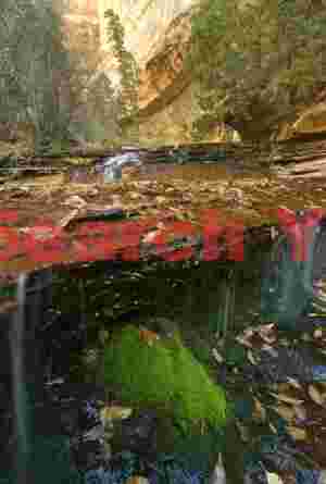 Emerald Cascade - Moss-Covered Waterfall