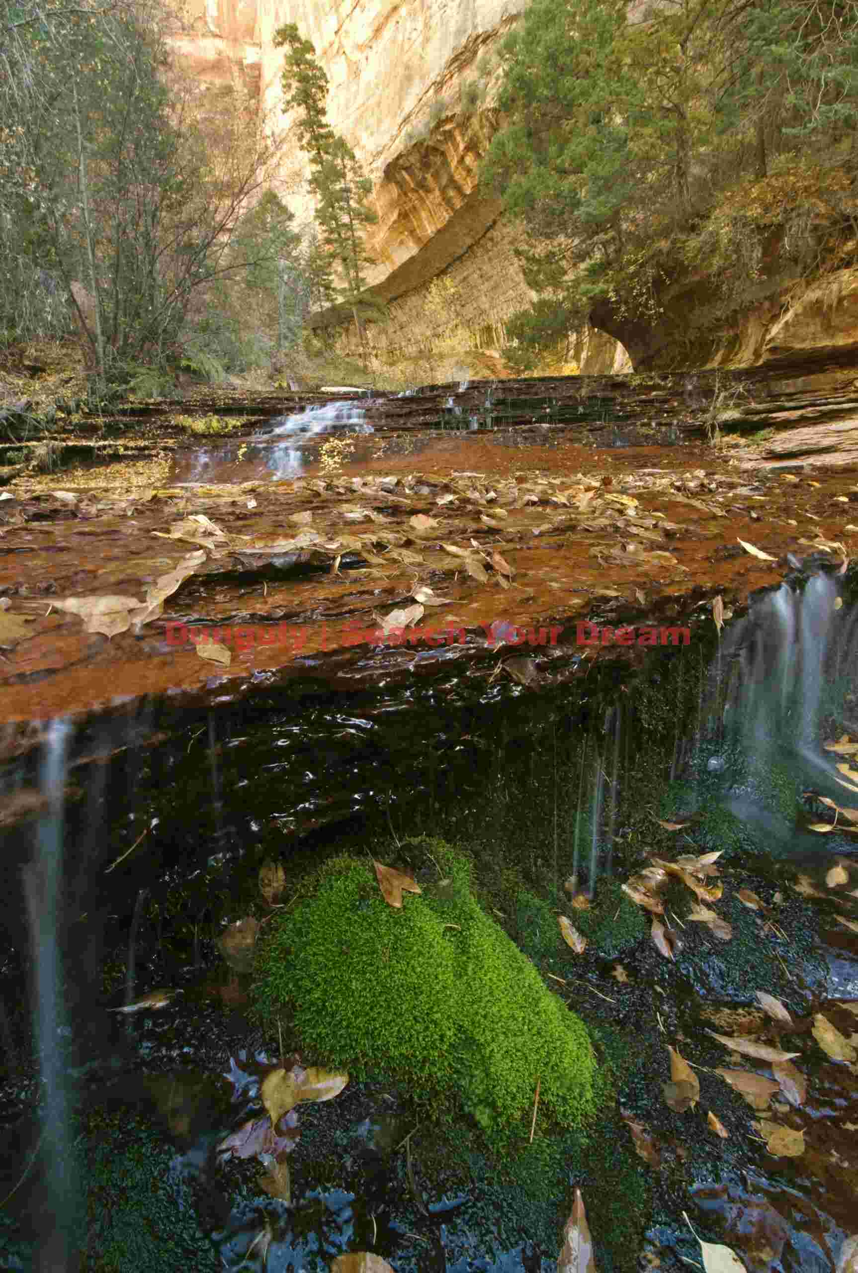 Emerald Cascade - Moss-Covered Waterfall