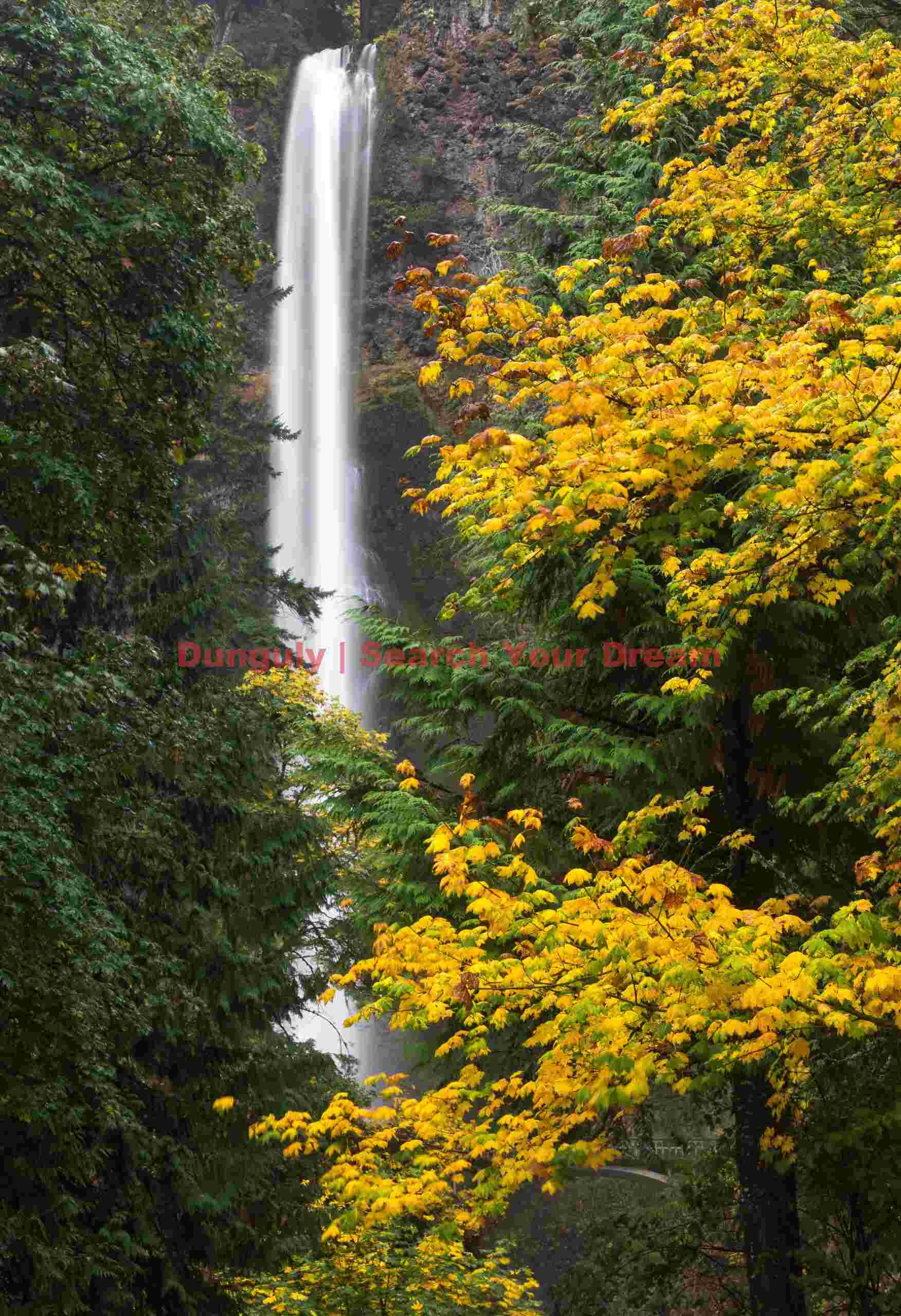 Multnomah Falls Through Trees, Columbia River Gorge, Oregon