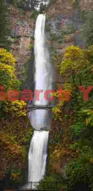 Multnomah Falls Vertical Pano, Columbia River Gorge, Oregon