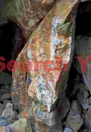 Cape Kiwanda Stone Canvas