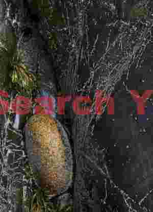 Orange-Hued Natural Object in Acadia National Park