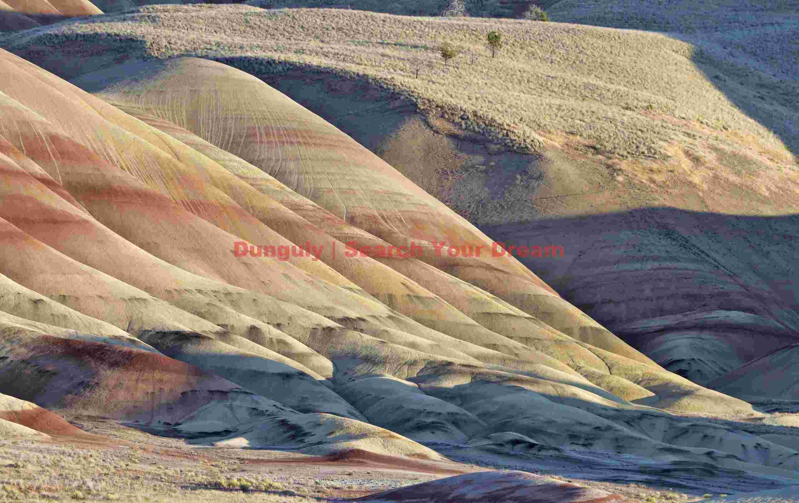 Panoramic Painted Landscape