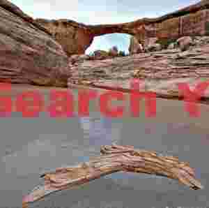 Owachomo Natural Bridge Reflected in Pool with Log Mirror