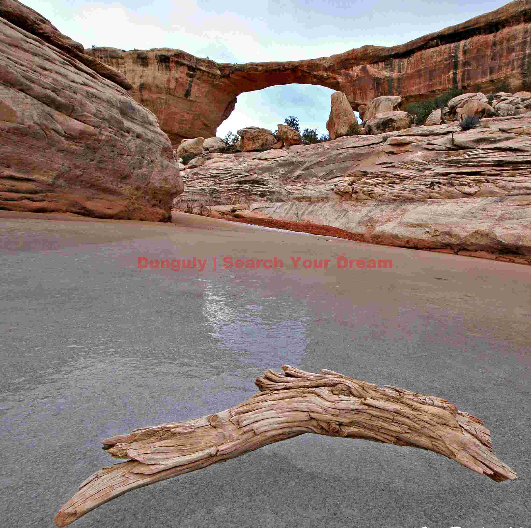 Owachomo Natural Bridge Reflected in Pool with Log Mirror