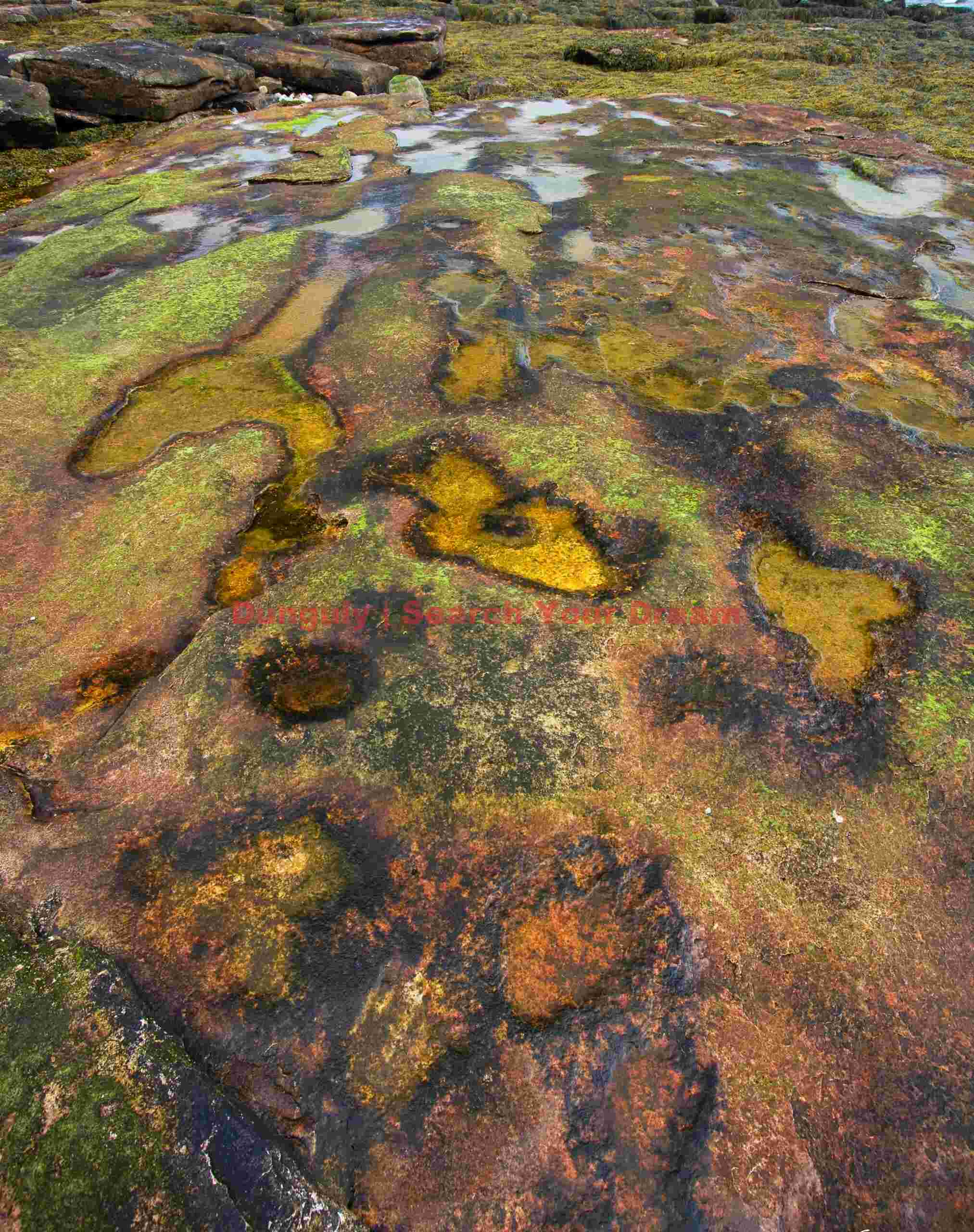Intricate Weathering Patterns on Natural Seawall - Acadia