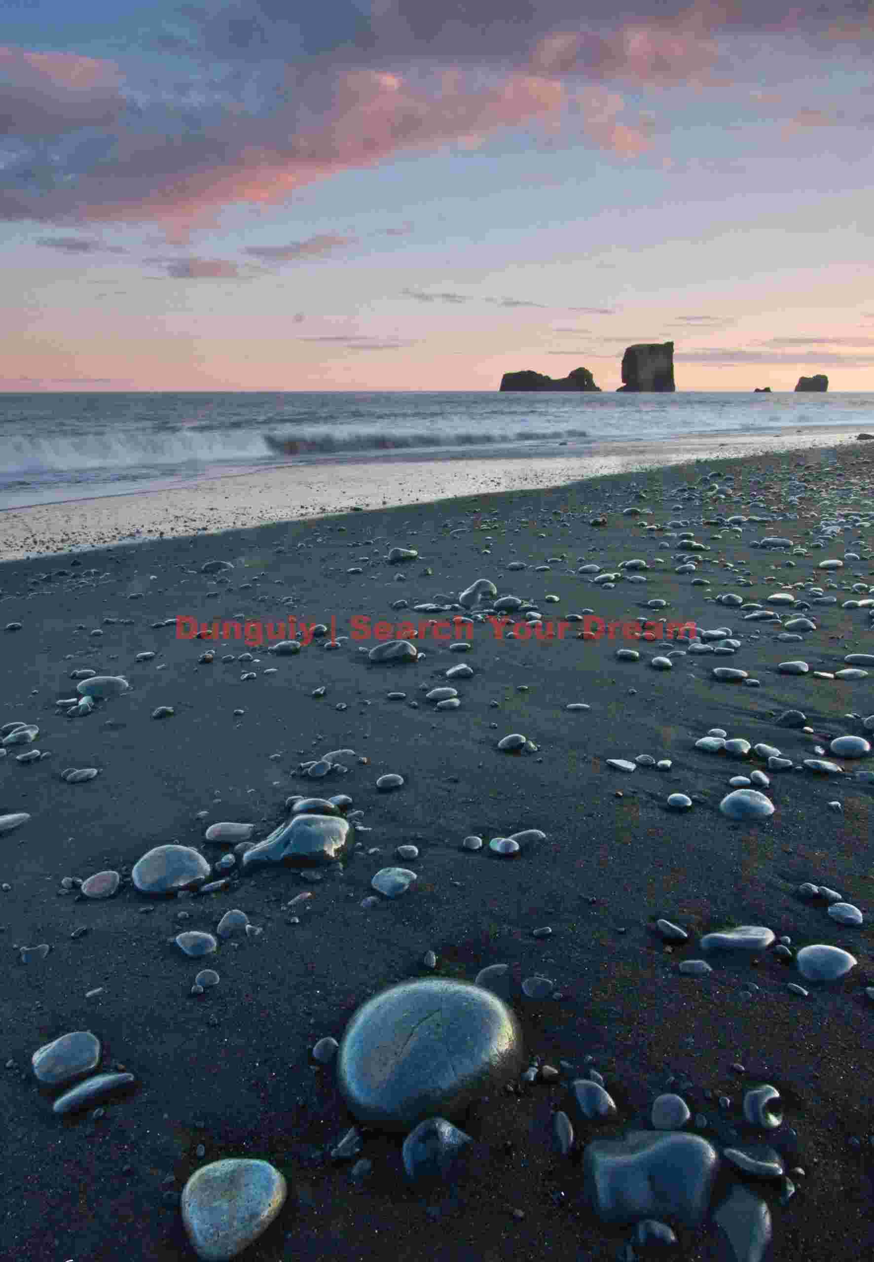 Pebble beach - Dyrholaey