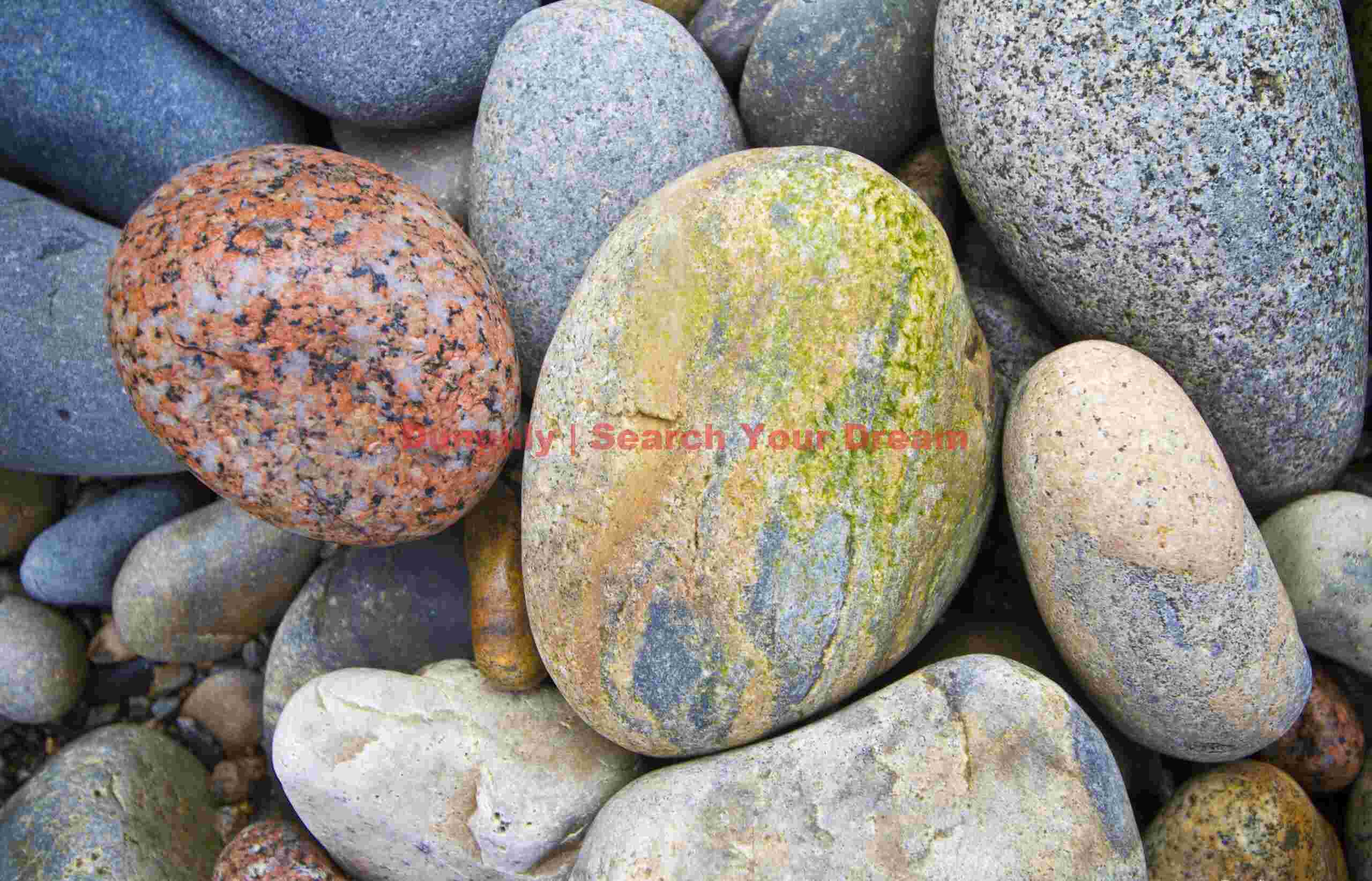 Pebble Palette - Chromatic Study of Coastal Stones at Acadia