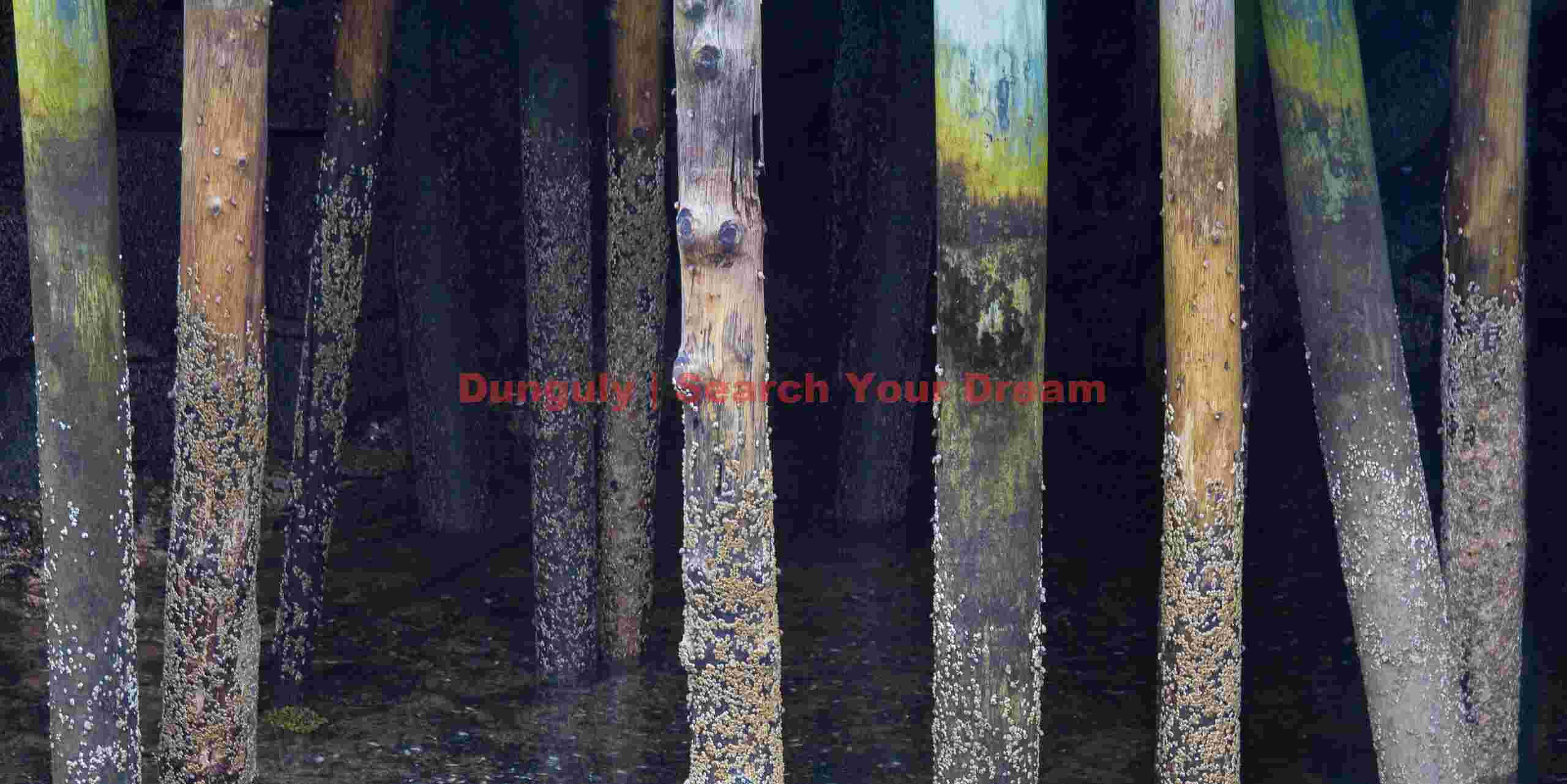 Maritime Pilings in Ellsworth Harbor, Maine