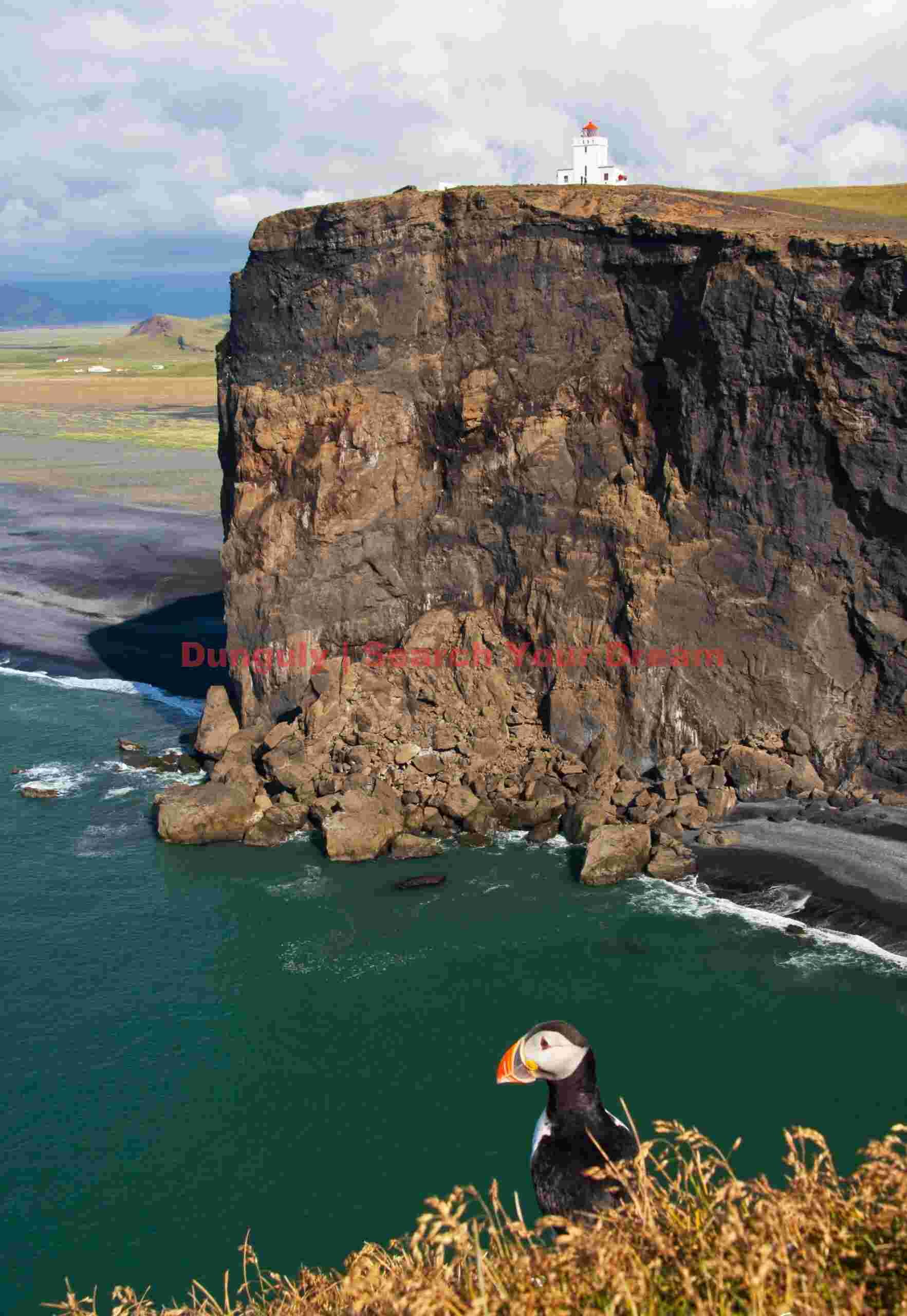 Puffin And Lighthouse - Dyrholaey