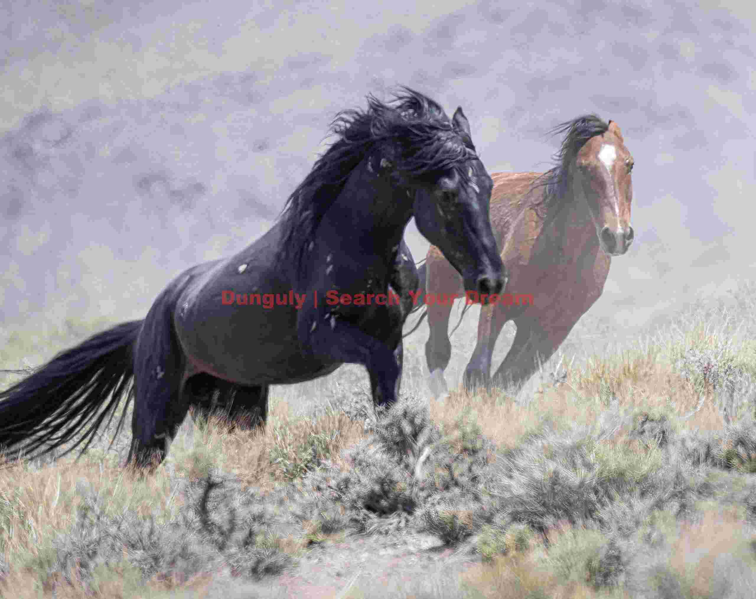 Wild Horses Racing Through Nevada Desert Landscape