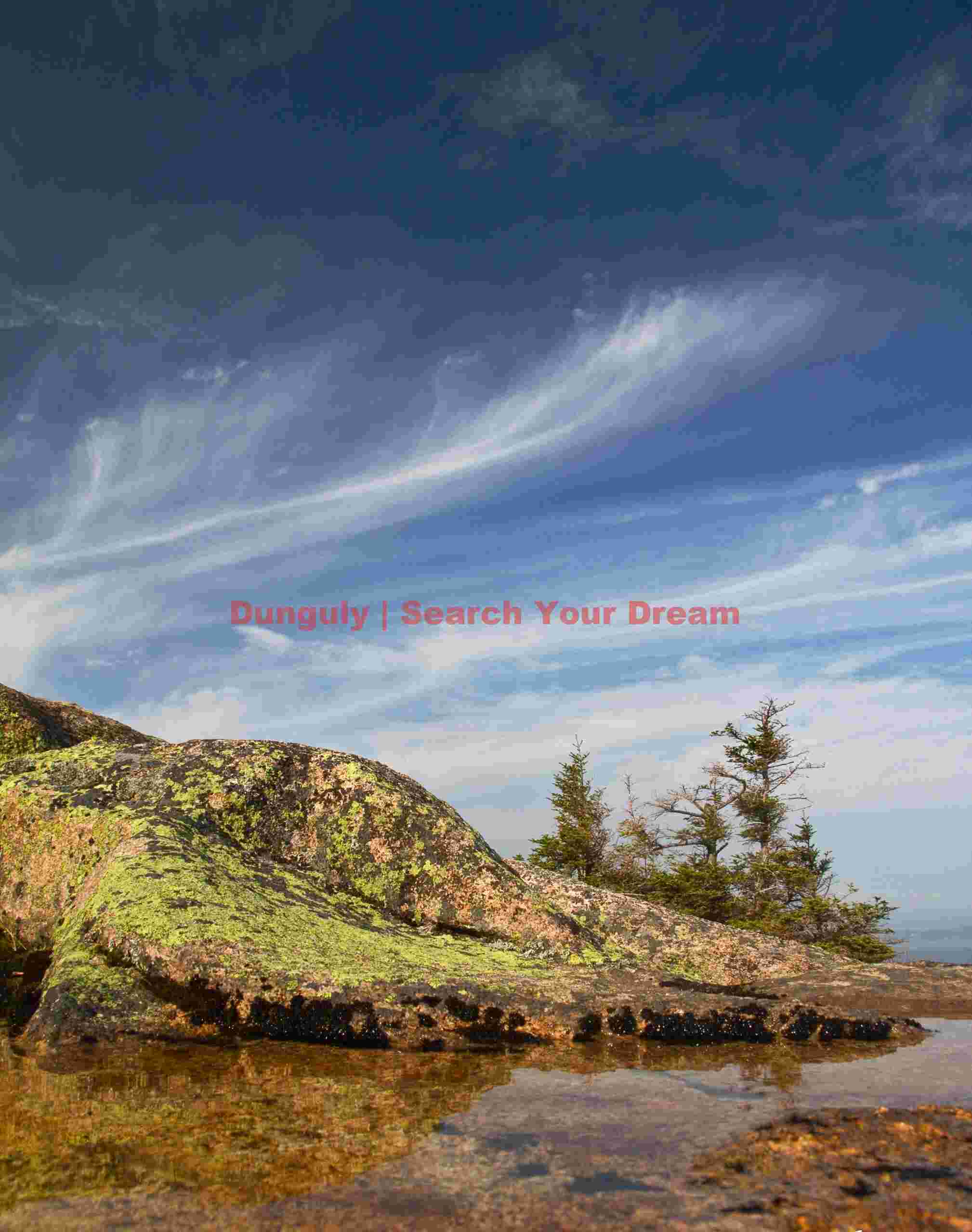 Rain Pool Reflection on Cadillac Mountain - Acadia
