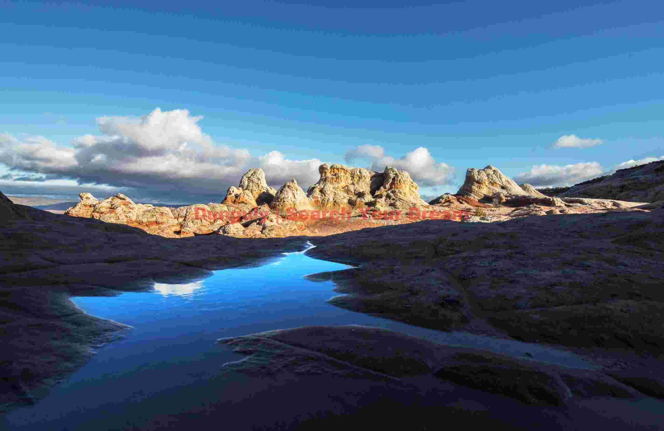 Rain pool White Pocket - Vermillion Cliffs National Monument