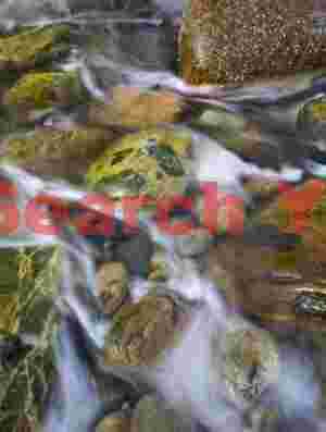 Wave Spray Receding Over Pebbles at Acadia Coastline