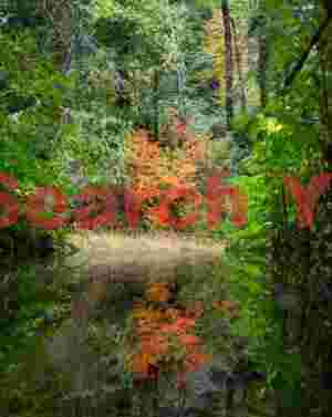 Red Reflection, Highway 26, Oregon