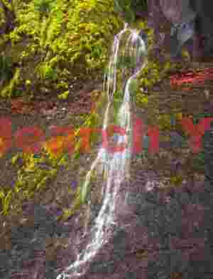 Red rock veins by the side of Dynjandifoss