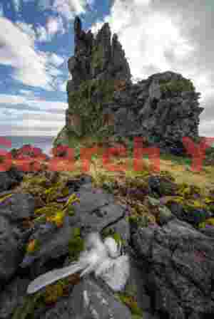 Glacial Ice Formation at Remains of a gull and lava pinnacle