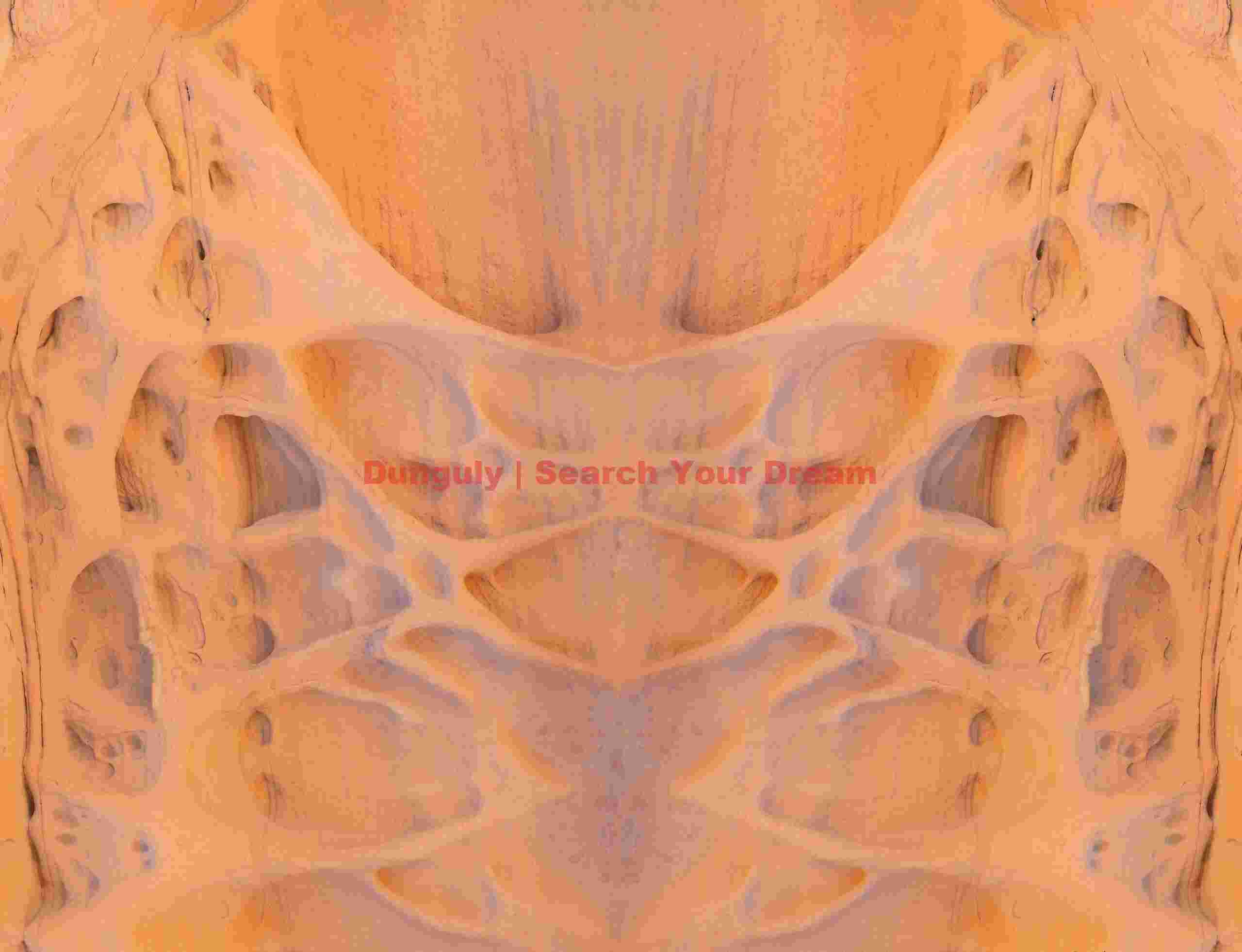 Rock Carapace Reflection at Parashant National Monument