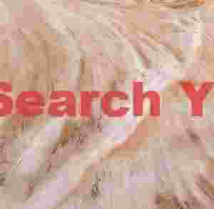 Salt waves on sandstone - Crack Canyon - San Rafael Reef