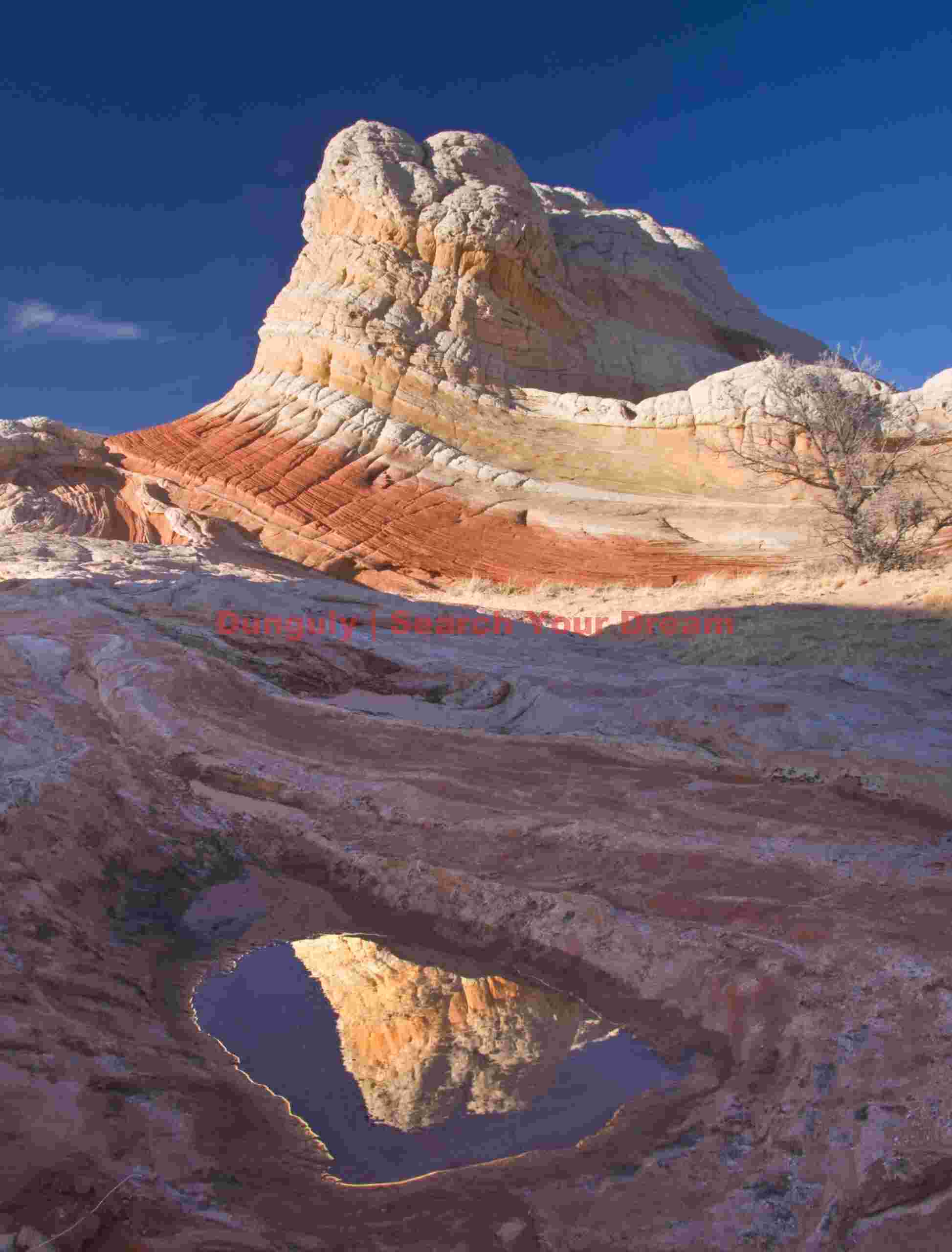 Sandstone gone wild - small pool reflection - White Pocket - Arizona